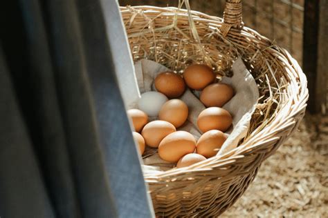 Canadian Egg Marketing Agency Proclamation.